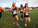 2010NCSXC GD2-2331